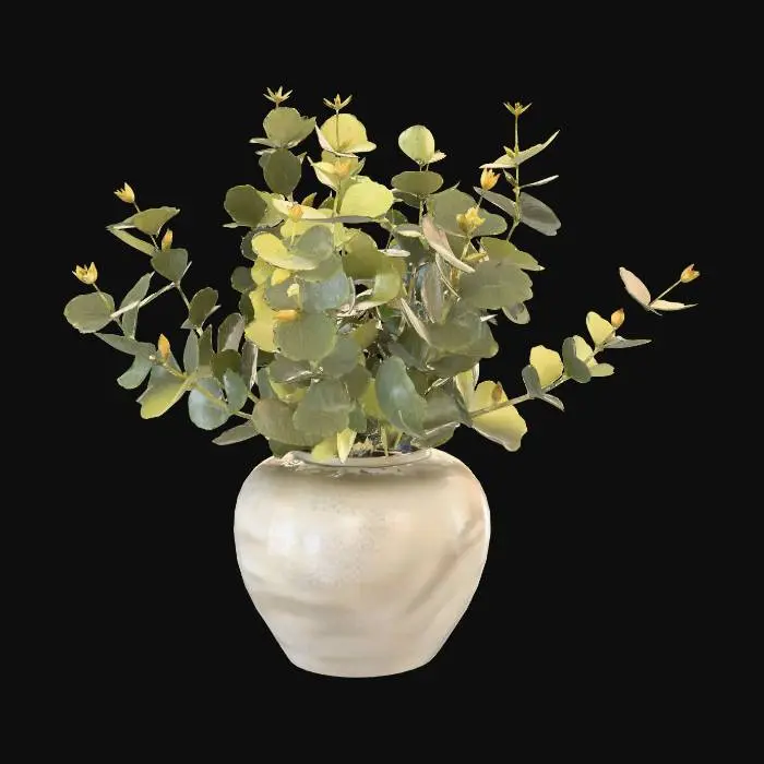 3D model for Eucalyptus Elegance