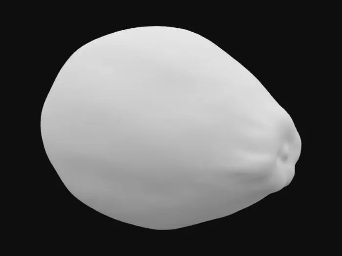 3D model for Papaya, Realista