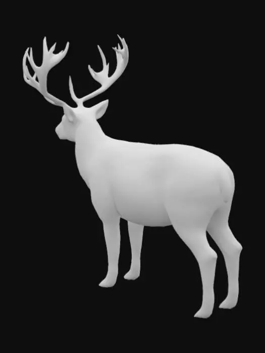 3D model for deer, canadiense