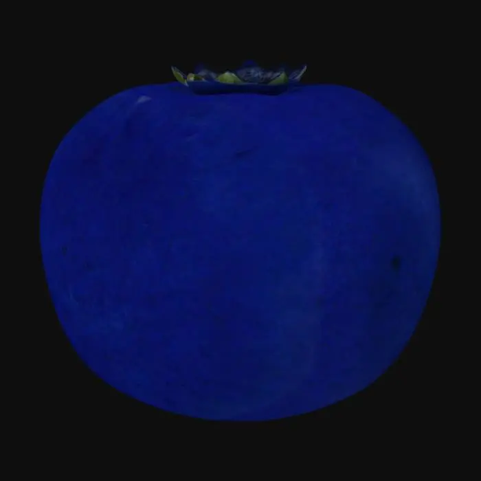 3D model for Arandano, Realista