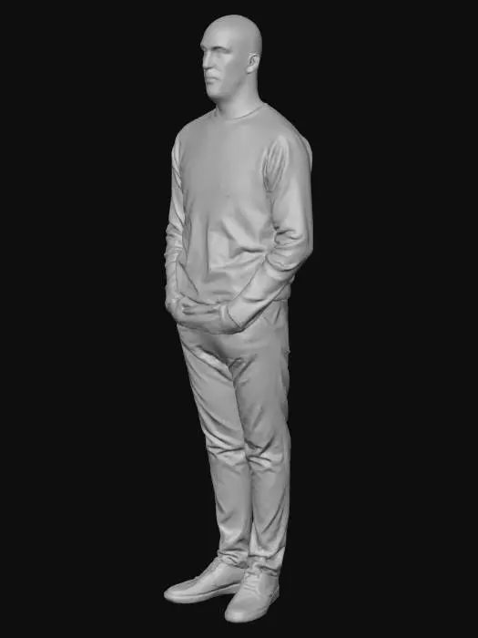3D model for Solitude in Grey