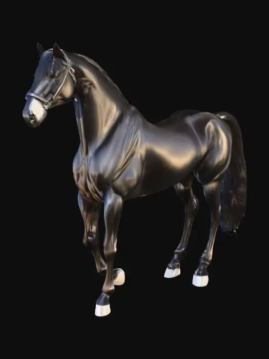 3D model for Majestic Midnight