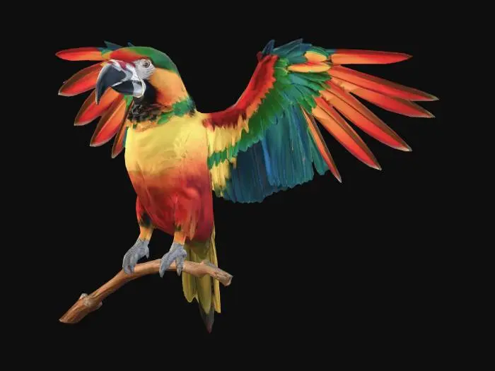 3D model for would like to have a harlequin macaw with it wings spread wide open sitting on a branch holding on with its claws.