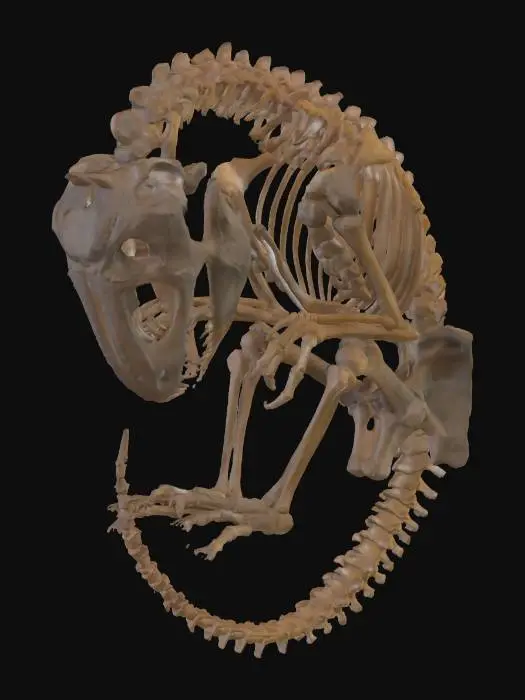 3D model for T-rex fetus