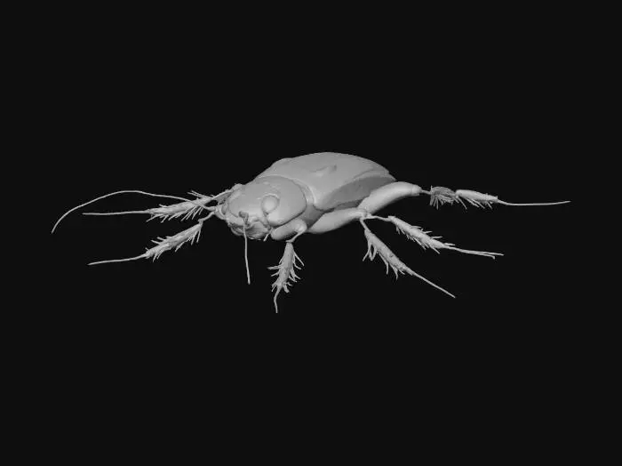 3D model for cockroach