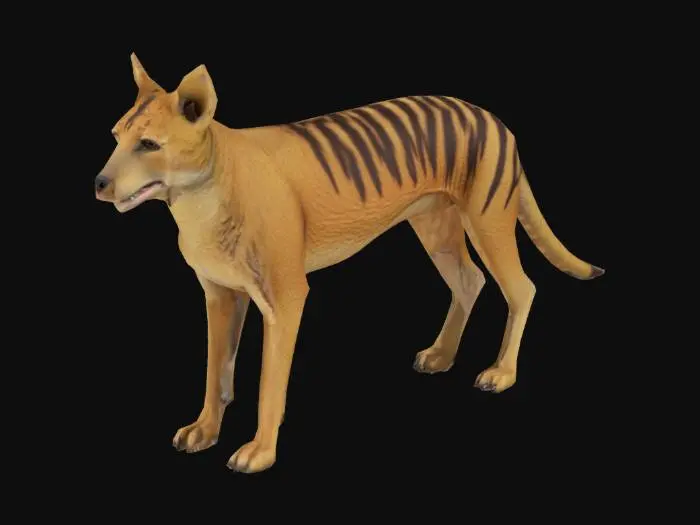 3D model for Thylacine_Revival__0708151125_generate