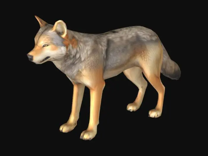 3D model for Falkland_Islands_Wolf_0718164553_generate