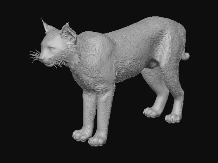3D model for Lynx v2