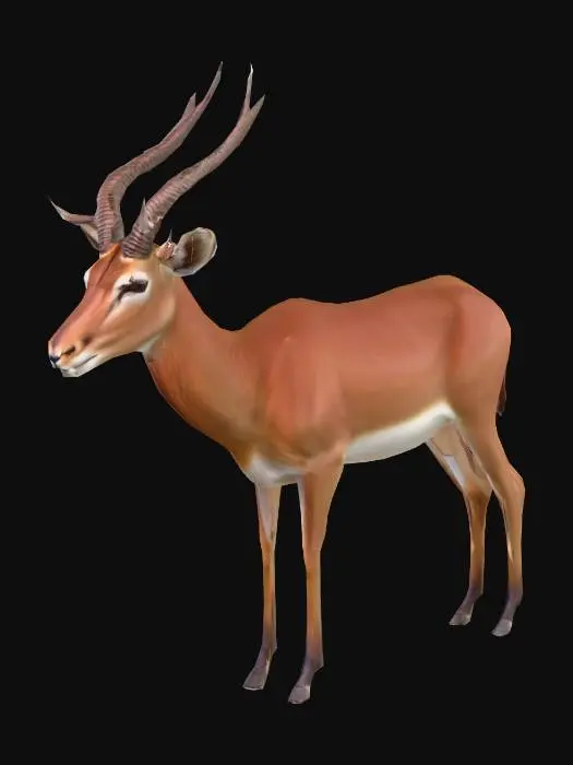 3D model for Generic Antelope