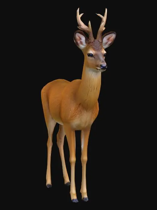 3D model for Graceful Stag