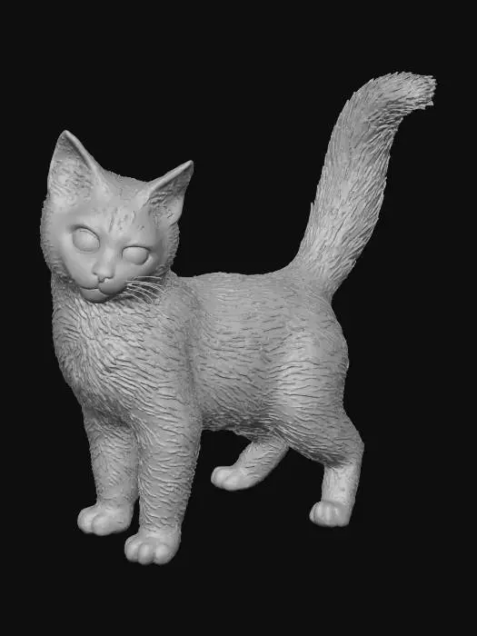 3D model for Fluffy Kitten