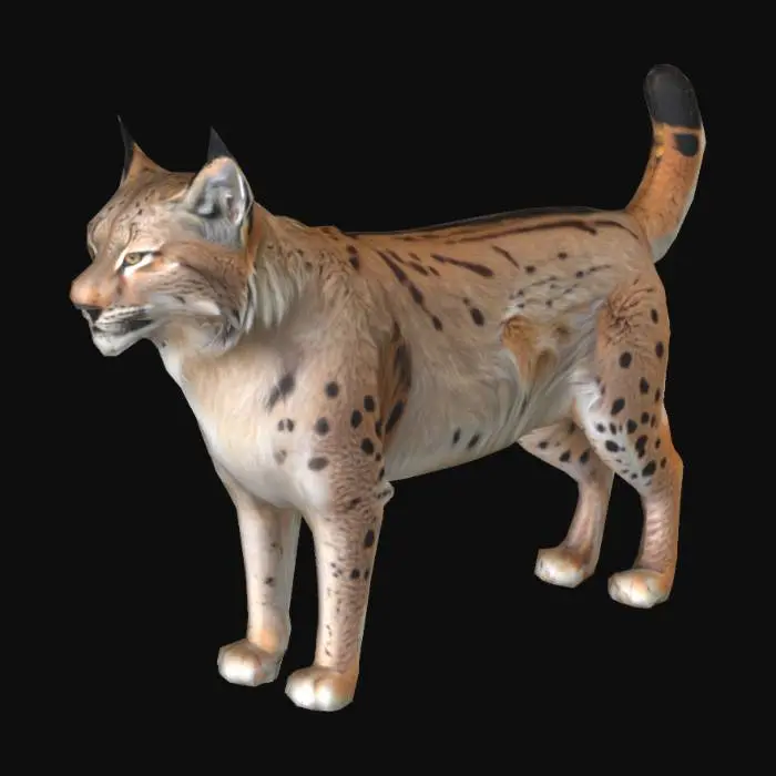 3D model for Syberian_Lynx_0714155020_generate