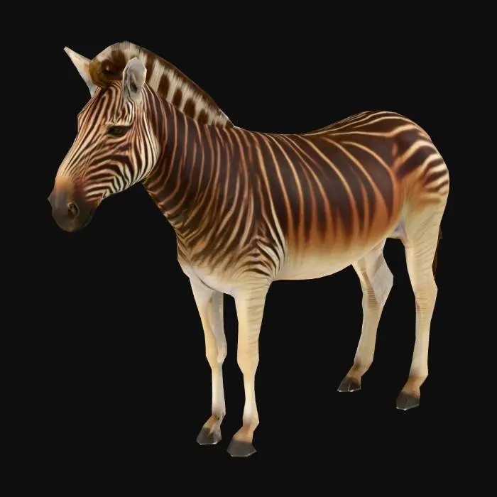 3D model for Quagga