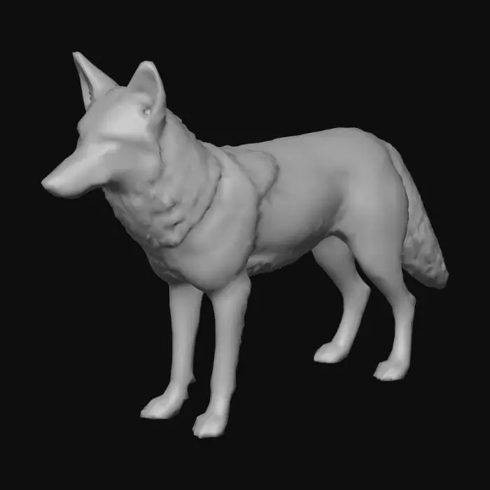 3D model for coyote