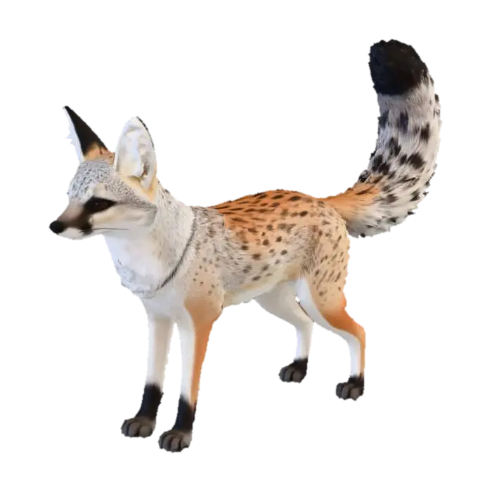 Bengal_Fox 3D model, vytvořený pomocí AI