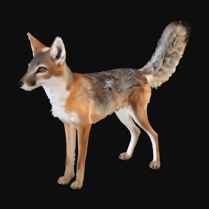 3D model for Swift_Fox