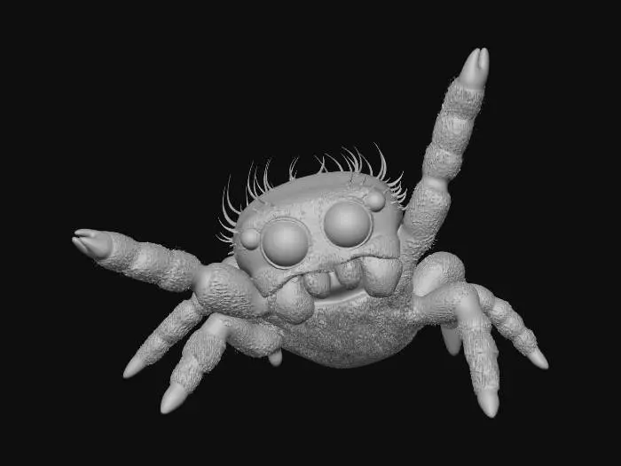 3D model for Joyful Jumping Spider