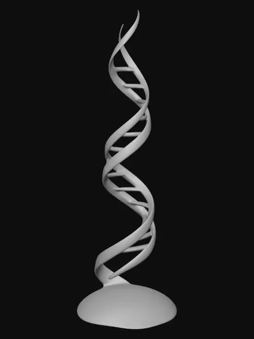 3D model for Spiral of Life