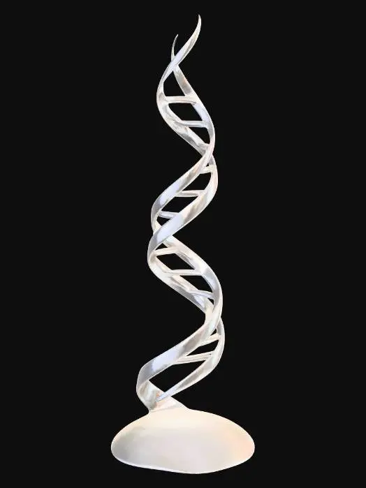 3D model for Spiral of Life
