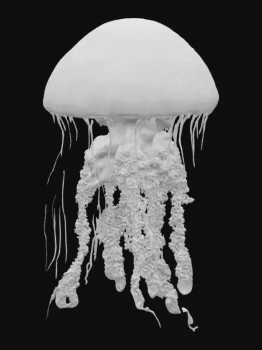 3D model for create a firework jellyfish
