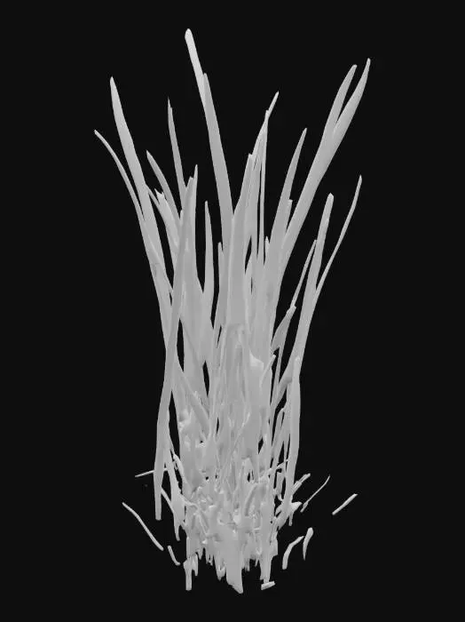 3D model for Fresh Scallions