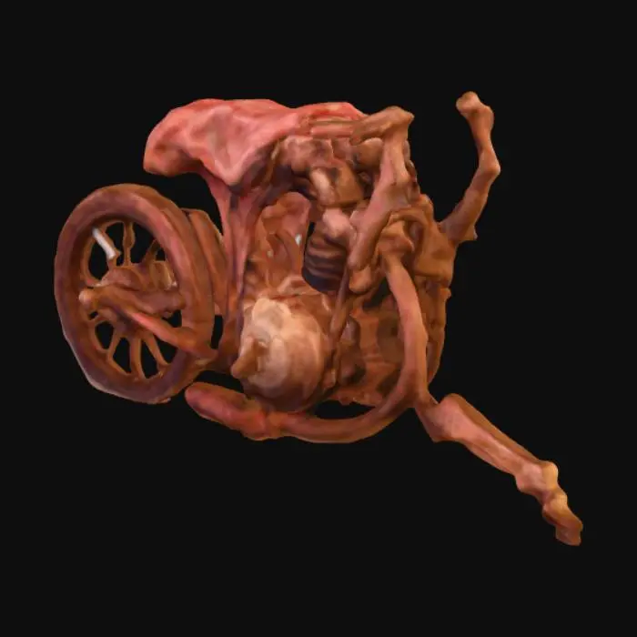 3D model for Flesh Engine