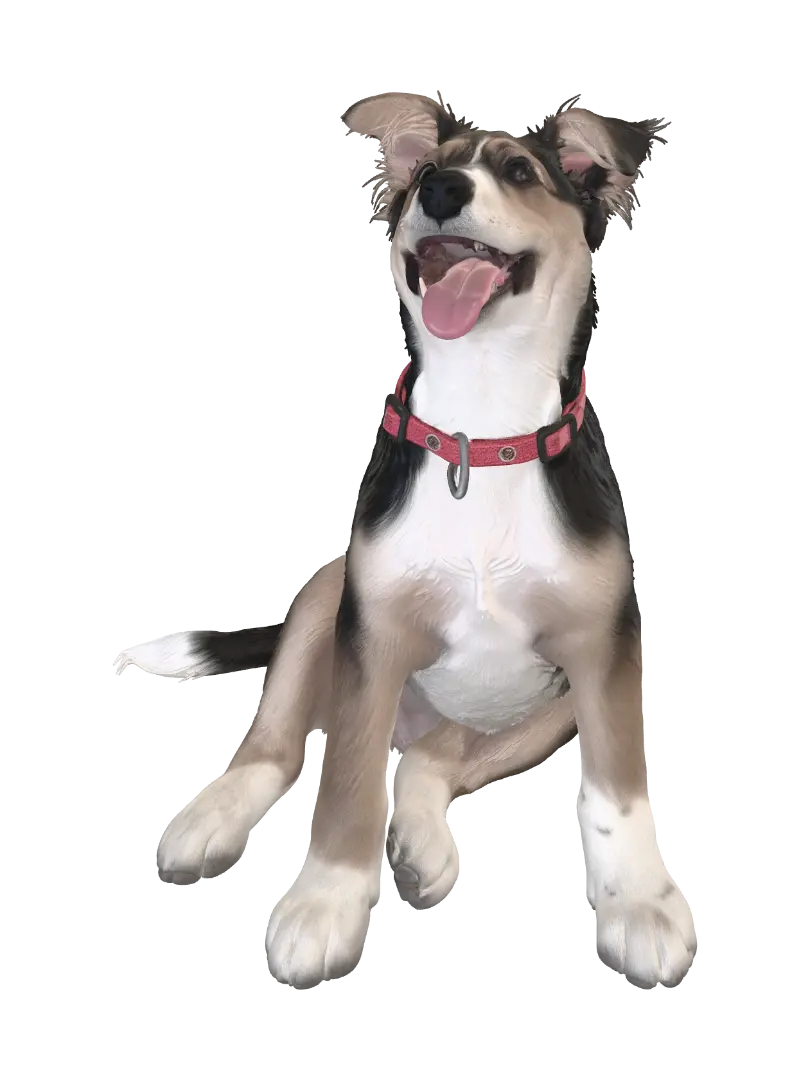 pup