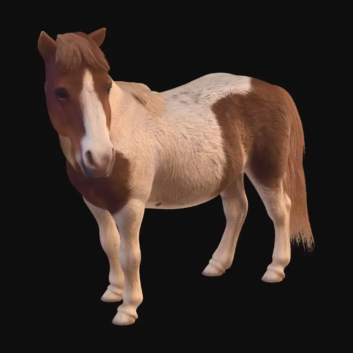 3D model for Autumn Pinto in the Field