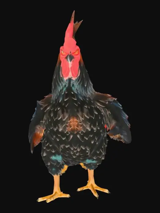 3D model for gerçekçi tavuk ve horoz modeli