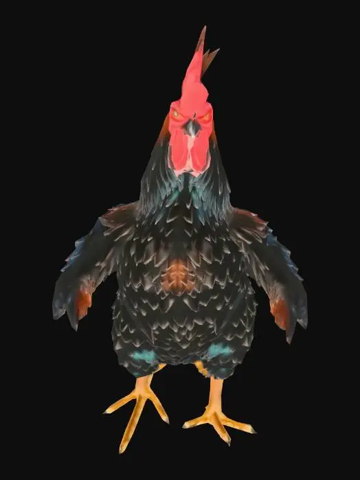 3D model for gerçekçi tavuk ve horoz modeli