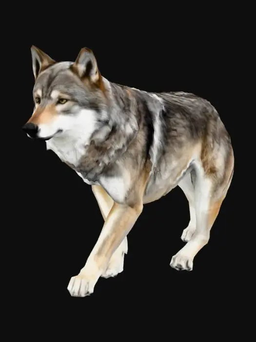 3D model for Wolf in Profile