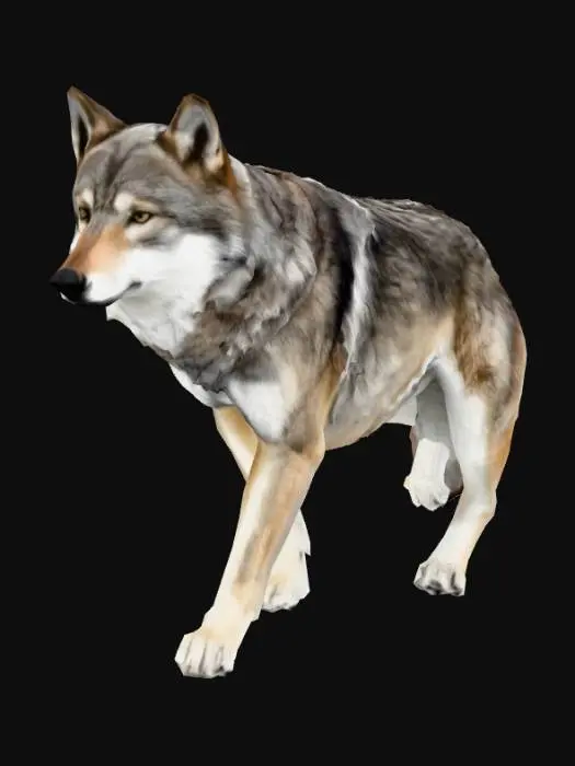 3D model for Wolf in Profile