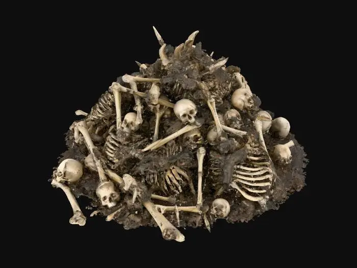 3D model for Human Bones Heap