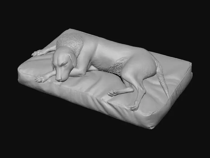 3D model for Sleeping Retriever