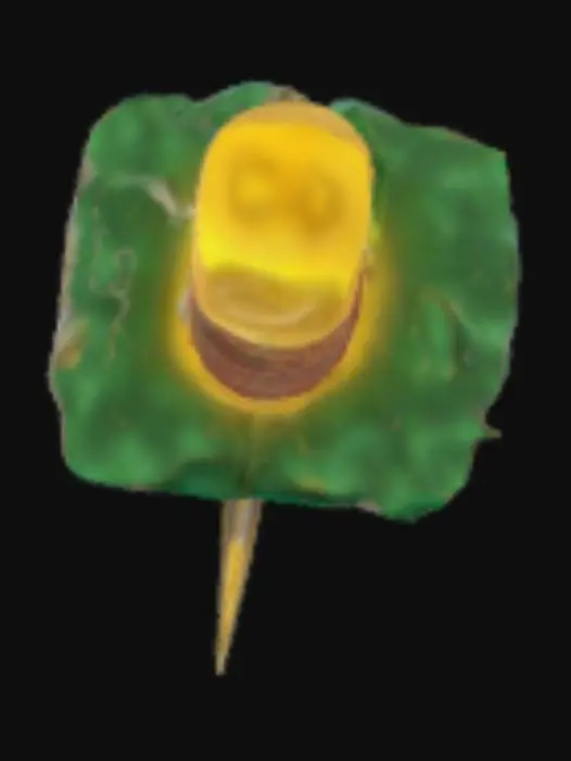 3D model for Curved Blade Harmony