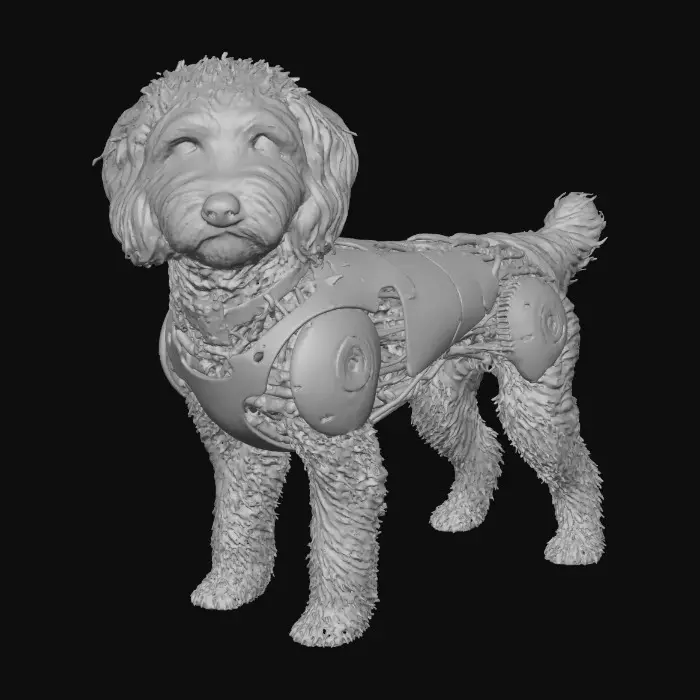 3D model for dynamo 5