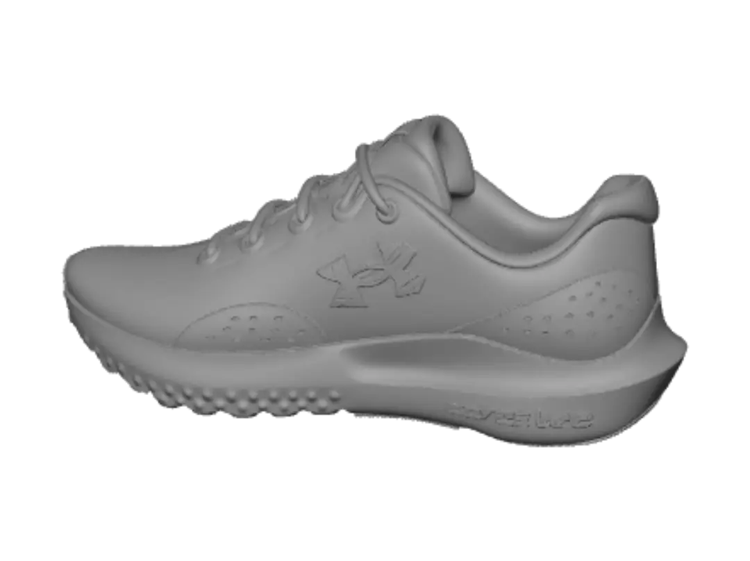 shoe
