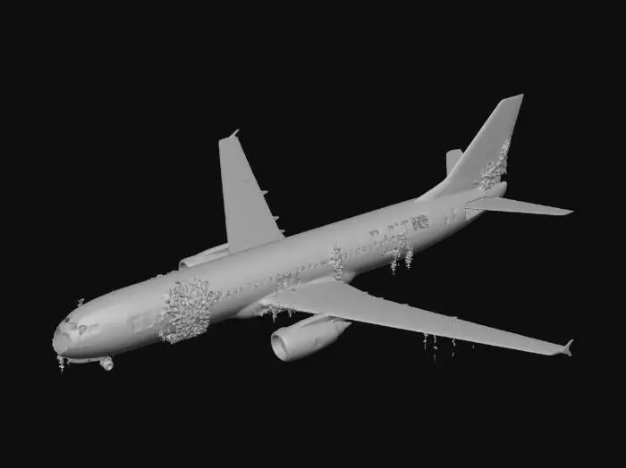 3D model for Life After People - Abandoned Plane