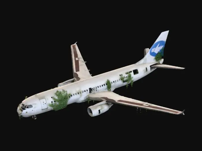 3D model for Life After People - Abandoned Plane