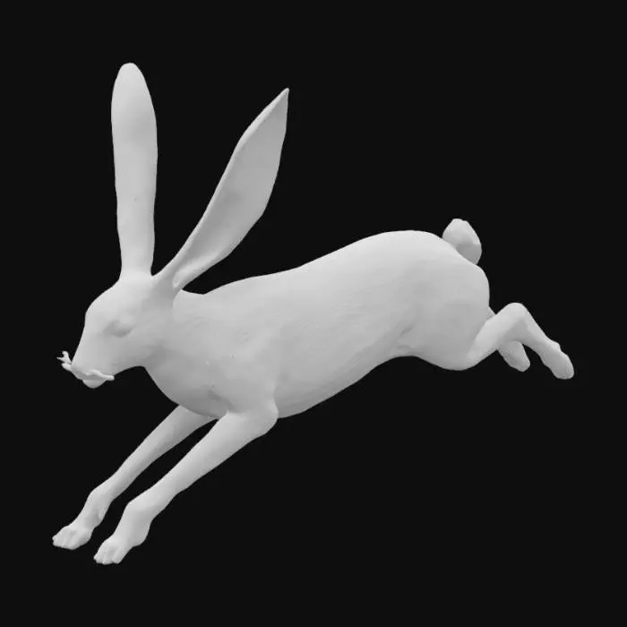 3D model for blacktailed jackrabbit, highly realistic