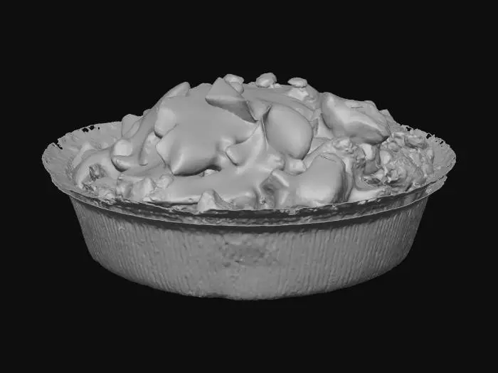 3D model for IMG_4583.jpg