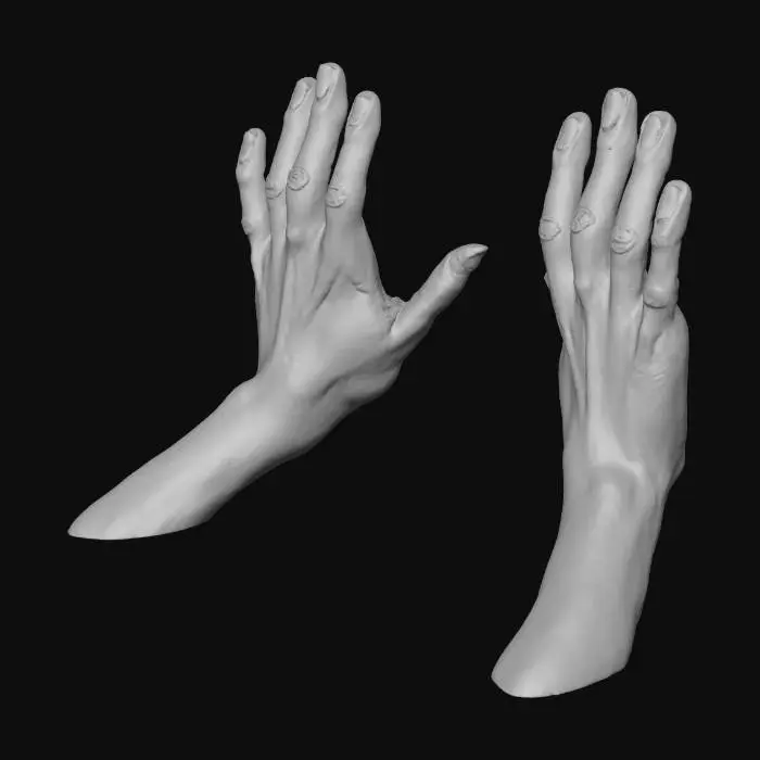 3D model for Open Hands Raised