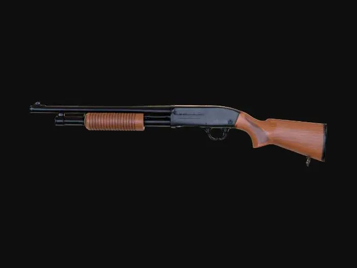 3D model for Shotgun Display