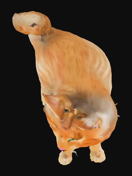 3D model for süßen Katze

