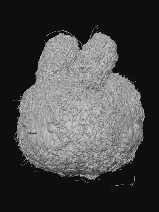 3D model for Dust Bunny Delight