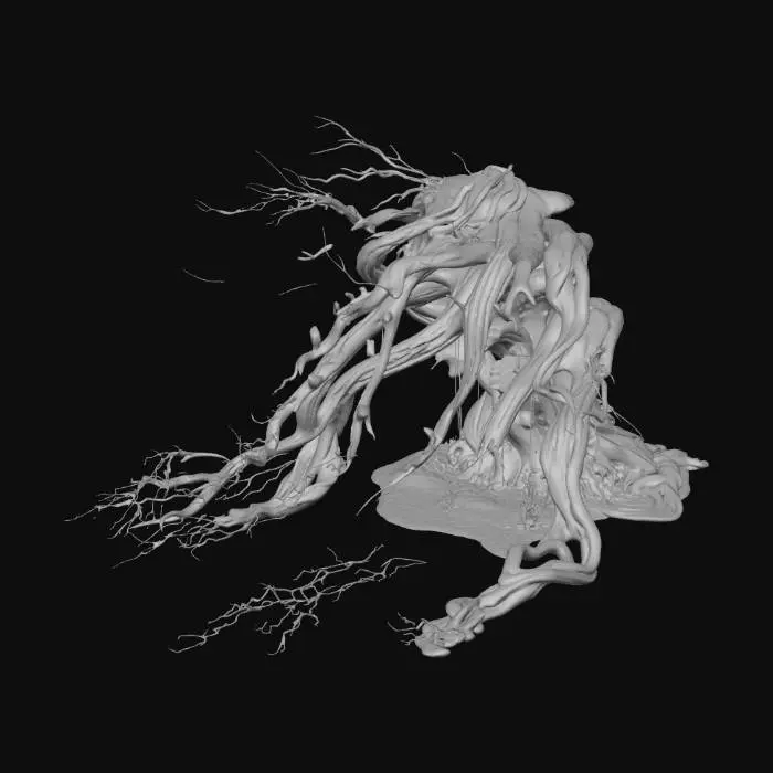 3D model for Whispering Roots