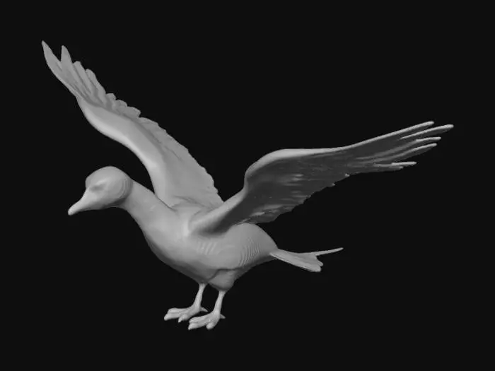 3D model for Graceful Flight