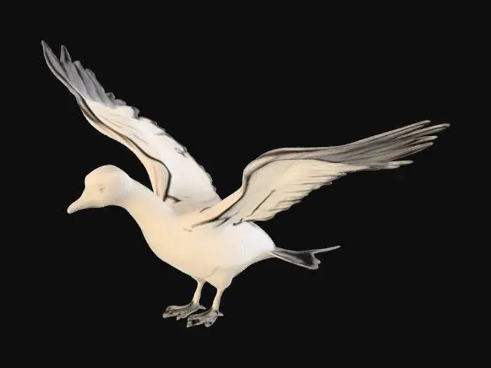 3D model for Graceful Flight