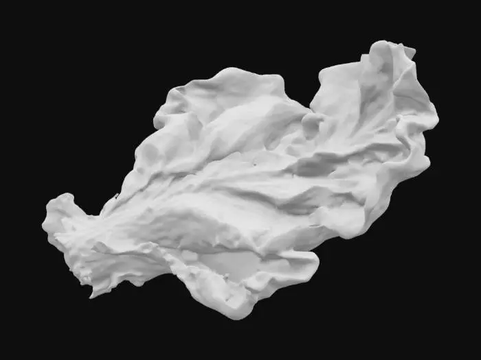 3D model for a cutesy and yummy single piece of lettuce 