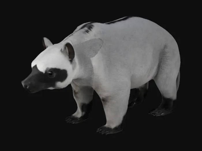 3D model for A Weird bear-like Mammal from southeast asia, quadruped, long snouted, symmetry, long-tailed